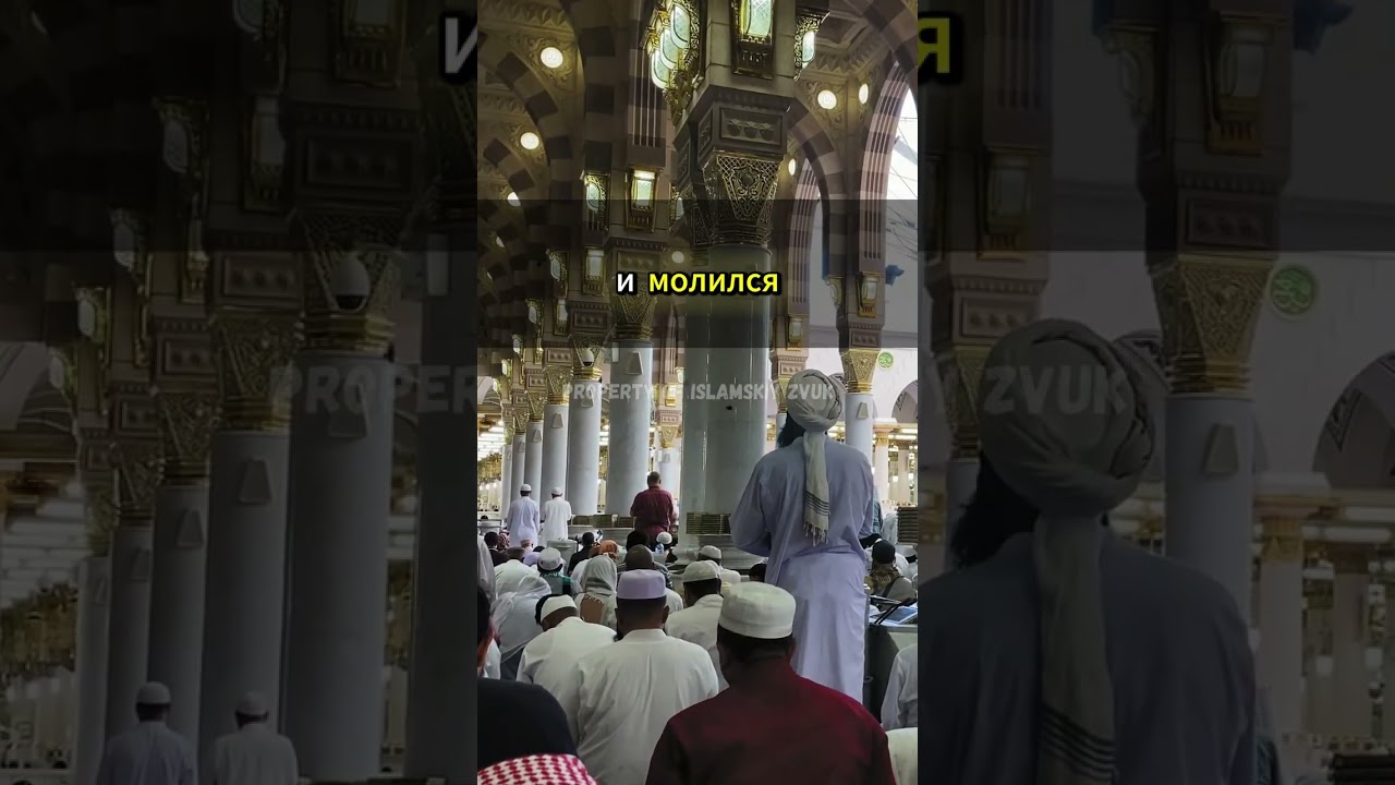 Отрезанный язык, но не молчание &mdash; карамат шейха Фараздака#ШейхФараздак #Карамат #Исламскиечудеса