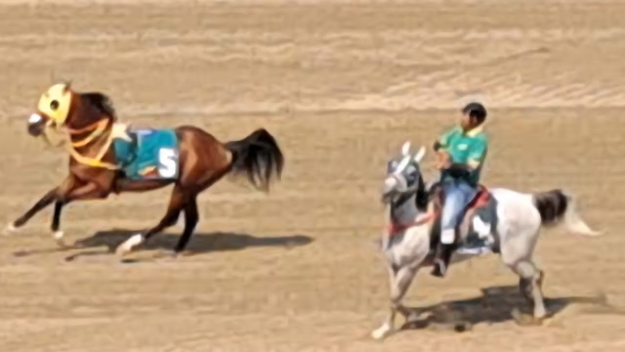 Hipodromo La Rinconada🇻🇪. Caballo desbocado