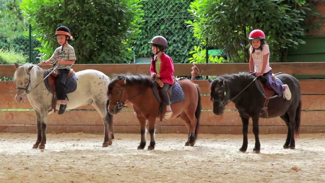 Stage de poney