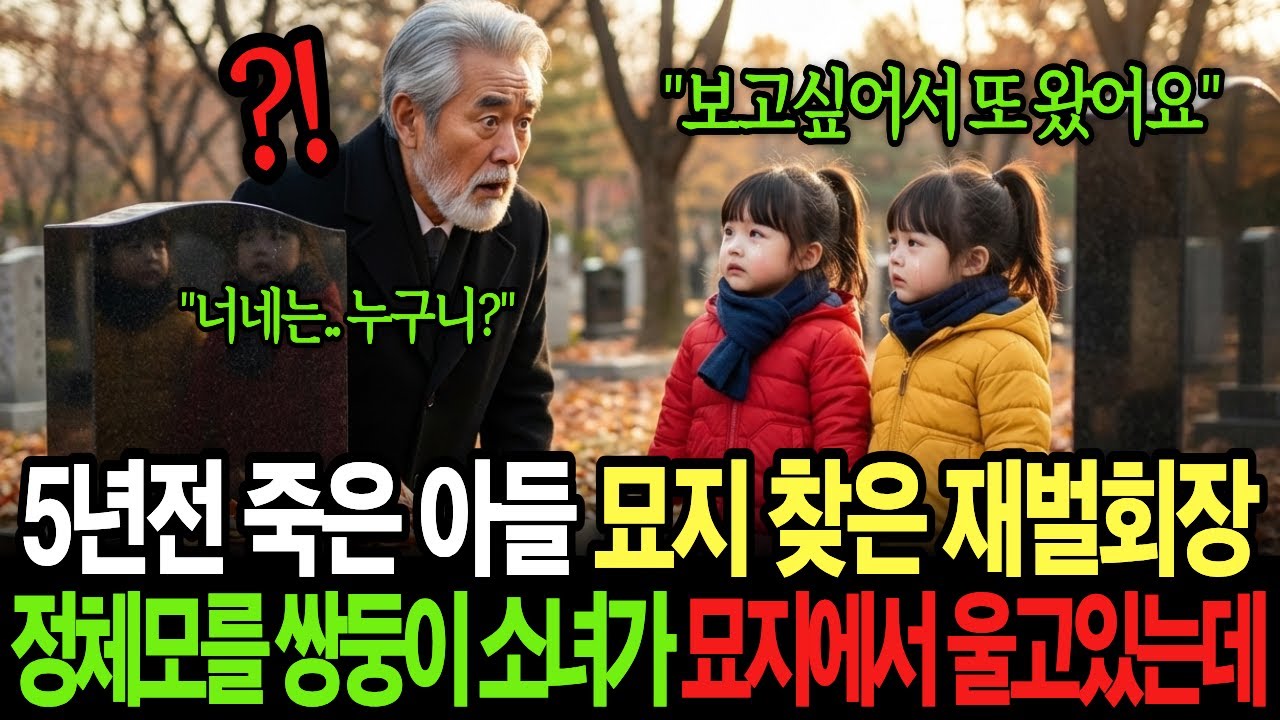 (실화사연) 죽은 아들의 묘지를 찾아간 재벌 회장은 아들 묘지 앞에서 울고있는 정체모를 쌍둥이 소녀를 발견하는데...[감동사연][반전사연]