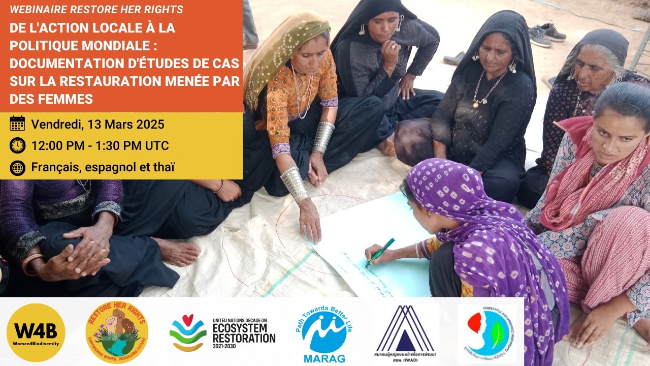 Recueil d'études de cas sur la restauration menées par des femmes