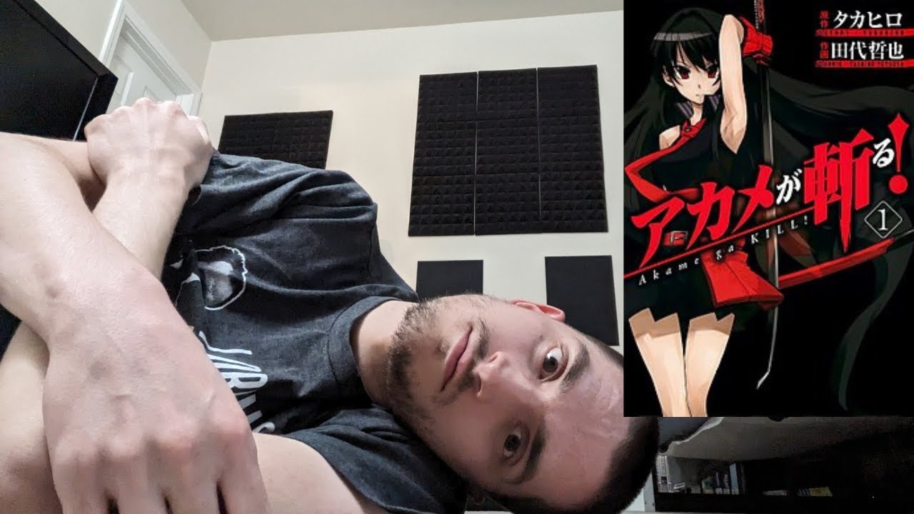How to Subvert a Genre: Akame ga Kill!