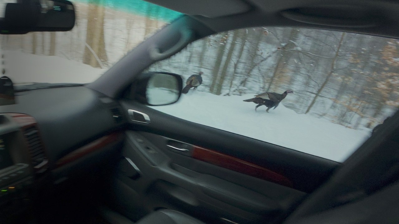 This Changed My Mood - GX 470 Winter Drive | POV