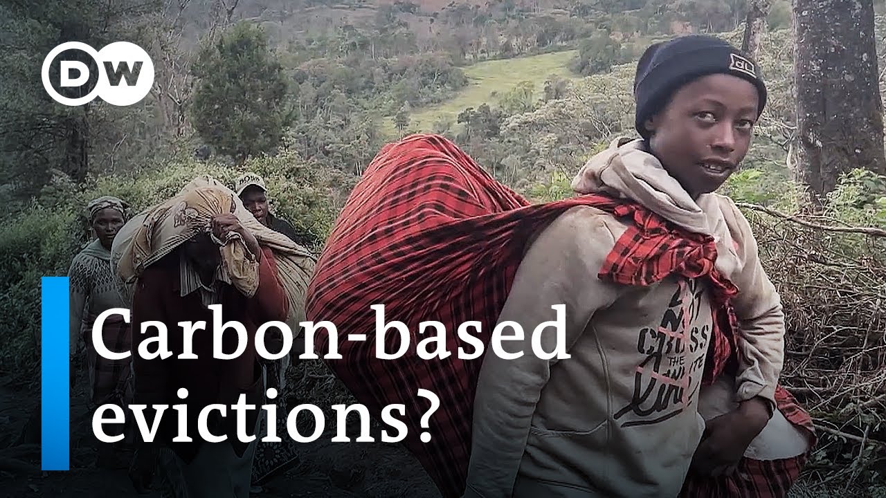 Kenya's indigenous Ogiek evicted from ancestral lands for carbon credits | DW News
