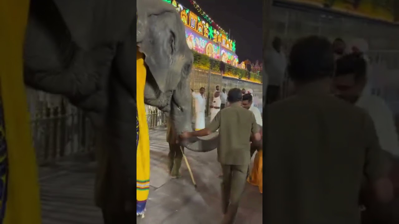 திருமலையில் நேற்று பக்தர்கள் தரிசன விவரம் ,