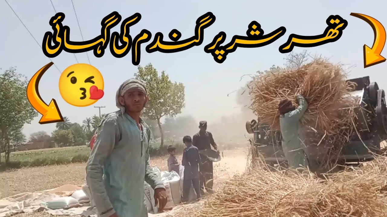Treasure bar gandham ki guyi || Sariki Journey 
