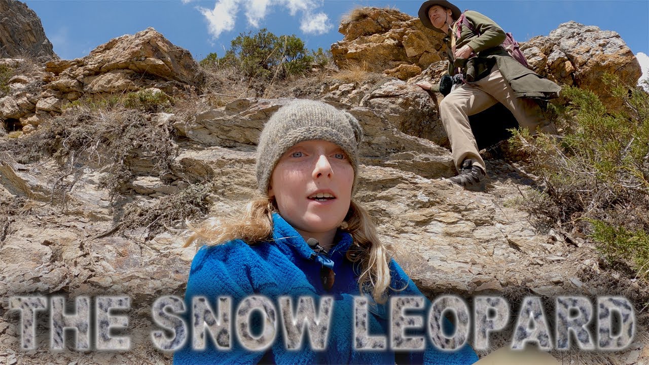 Searching for the Snow Leopard in Manang, Nepal