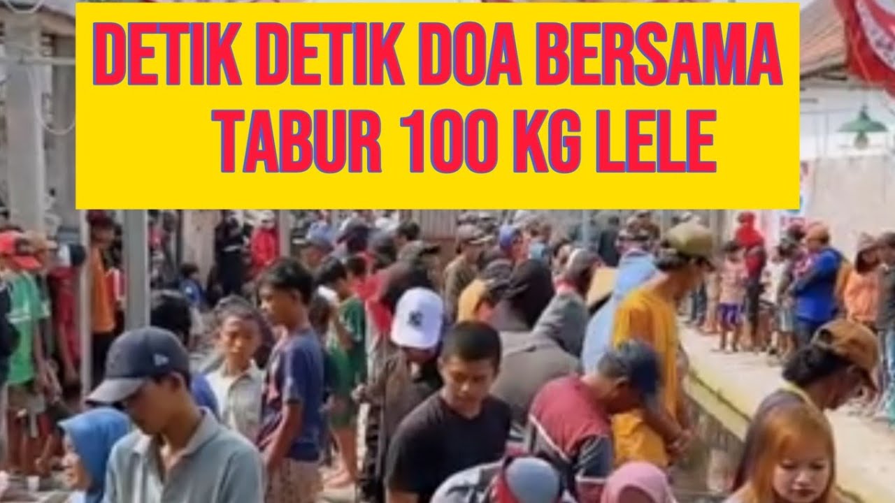 mancing gratis tabur 100 kg lele by support nda ervin m pak haji ronggeng