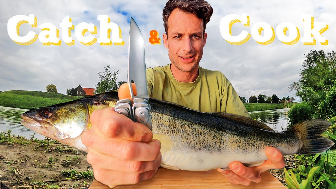 How to Catch, FILLET & Cook a Zander / Walleye