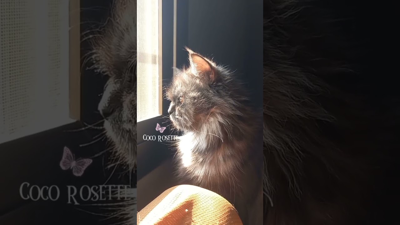 SLAYED IT💅😍💞 