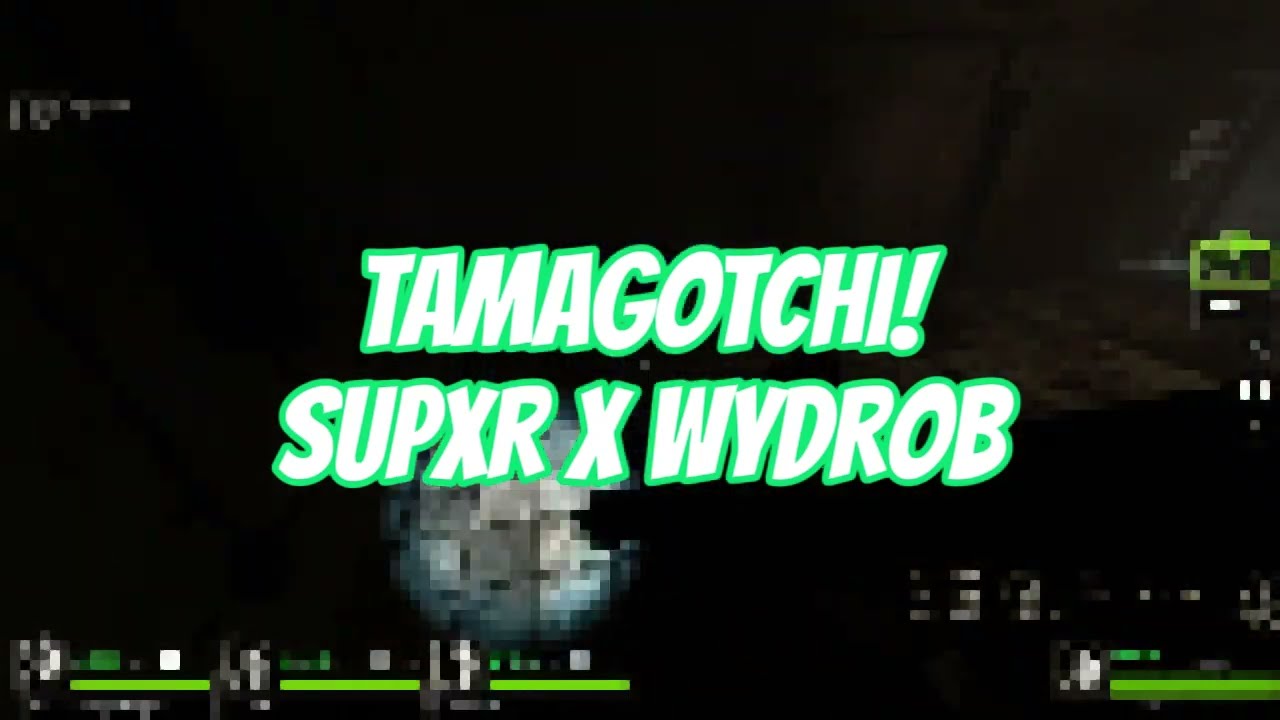 TAMAGOTCHI! (frag vid)
