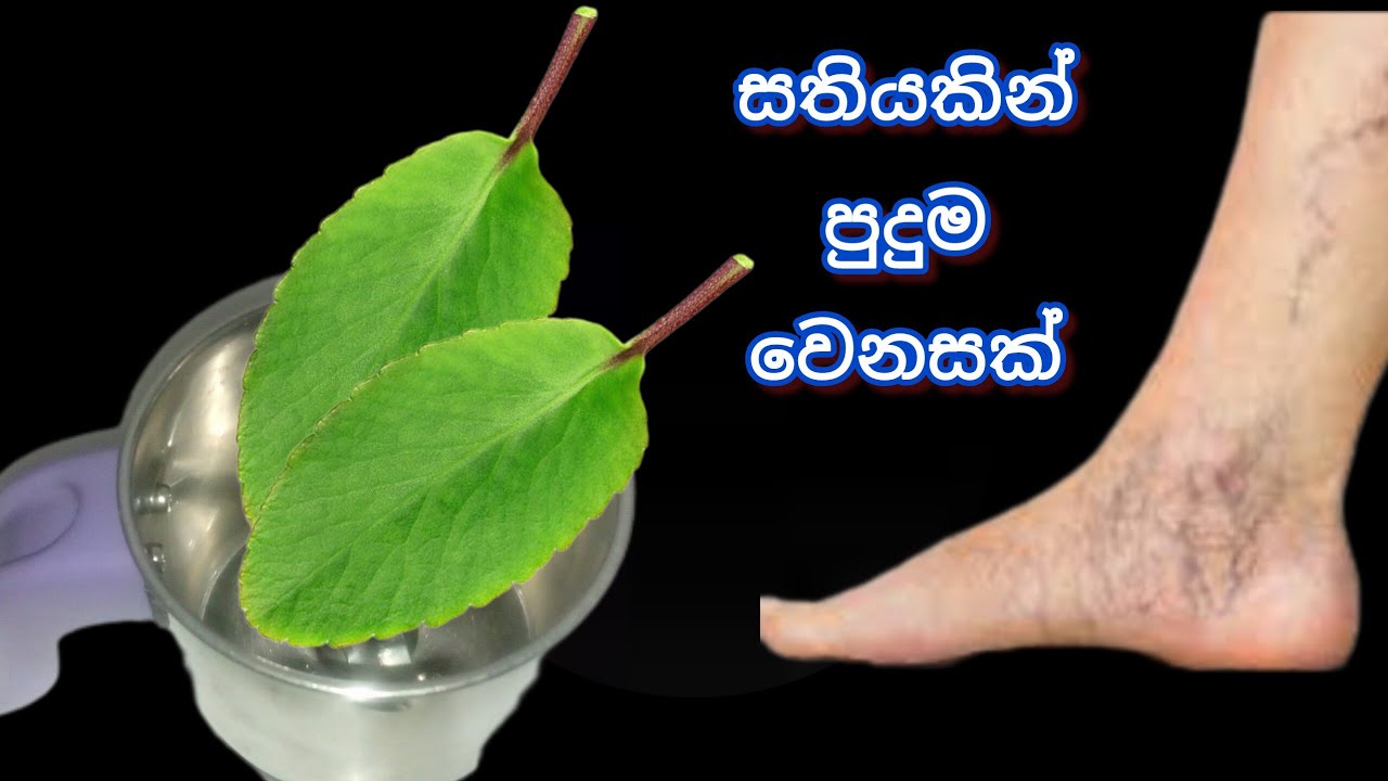 මීට කලින් කවුරුත් නොකියපු රහස් Tips සමග  | Jawa Food Corner 