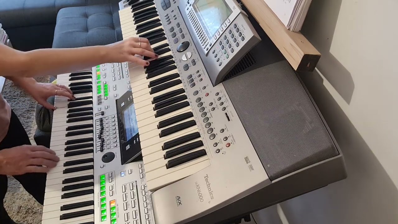 Aber Dich gibts nur einmal für mich (Die Flippers) - Technics/Tyros3 Duett-Keyboard Steini+Dagi