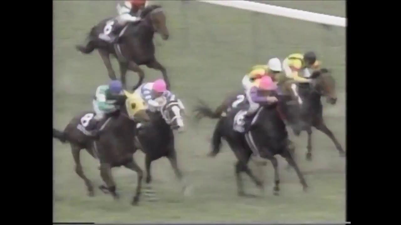第42回安田記念 ヤマニンゼファー 田中勝春G1初制覇！