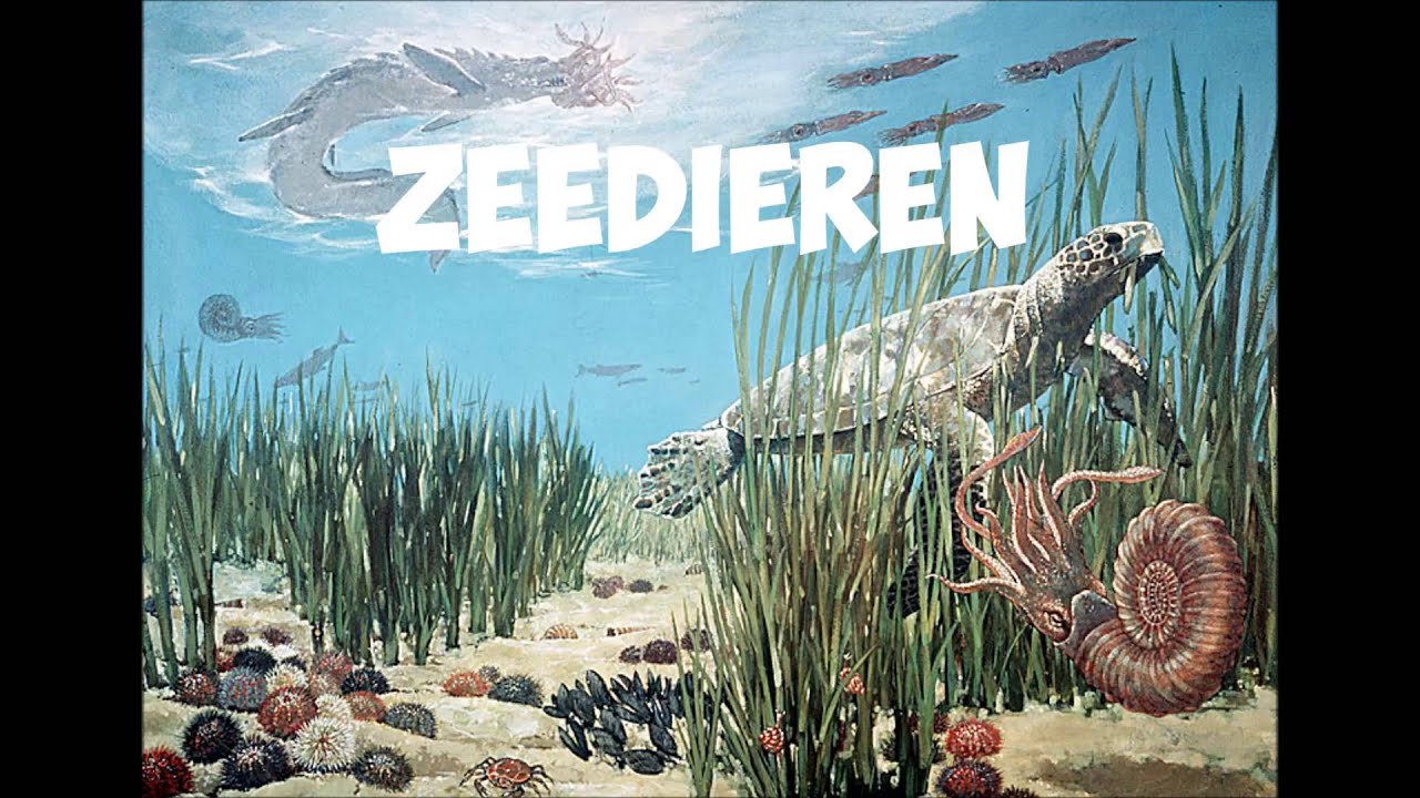 Het Krijt Tijdperk