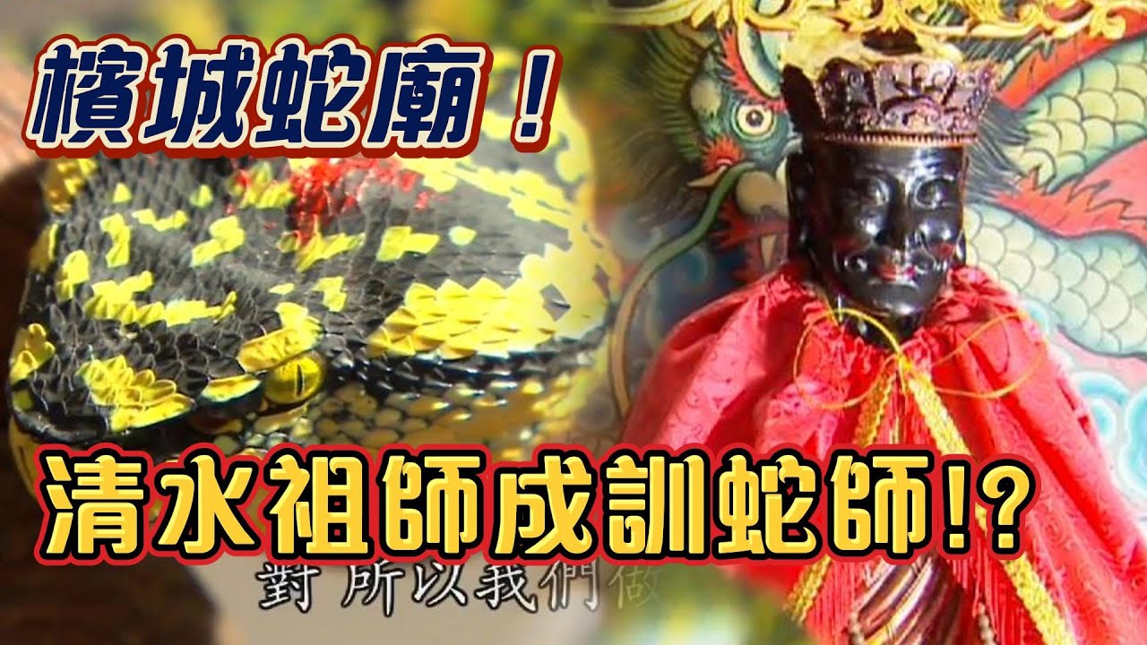 千蛇聚集！清水祖師爺成為訓蛇師？｜寶島神很大online