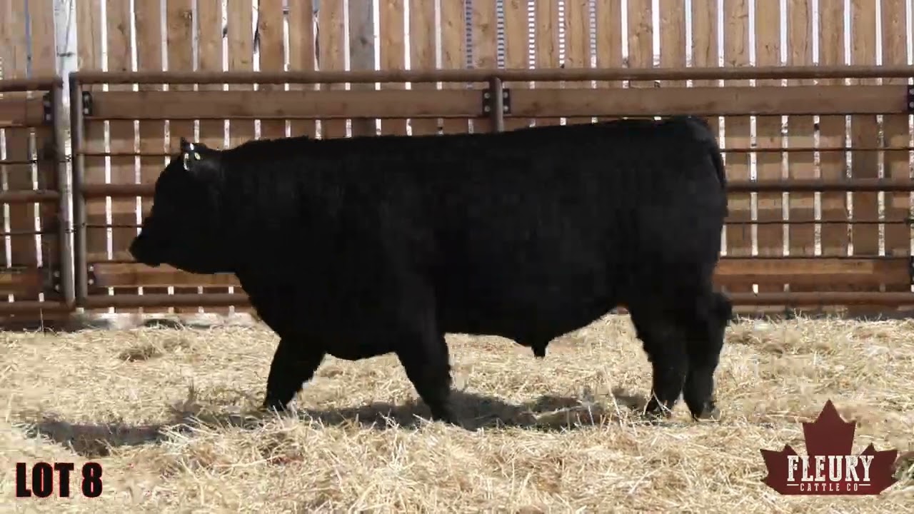 lot8