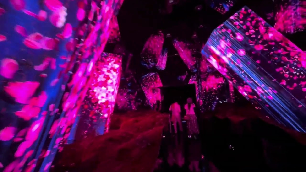 Kyoto Teamlab (Japan)