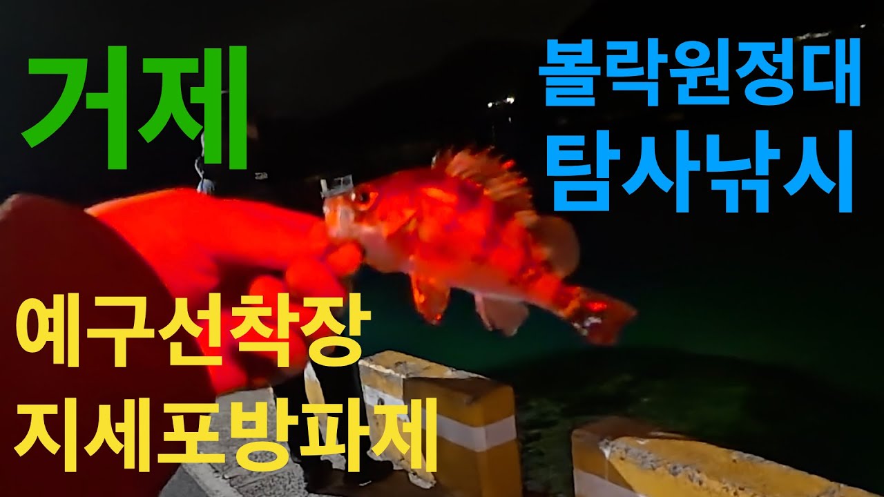 2026.01.16. 경남 거제 예구선착장, 지세포방파제 탐사낚시