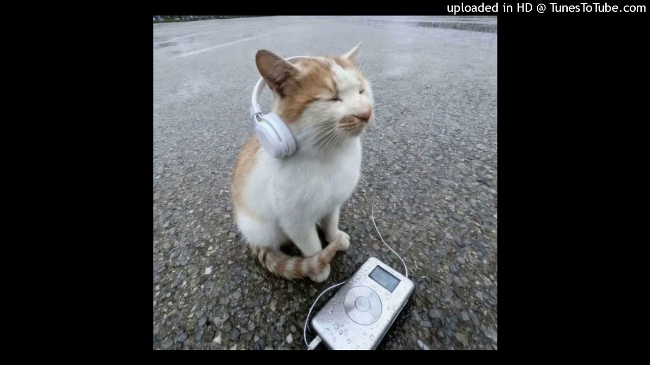 (free) jerk x prettifun x slayr type beat - 