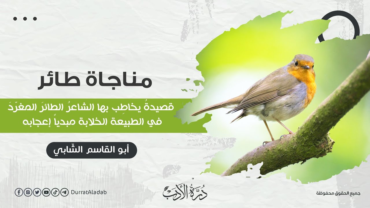 يا أيها الشادي المغرد هاهنا | مناجاة طائر | أبو القاسم الشابي