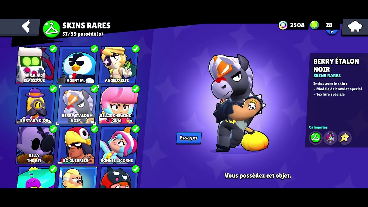 je paye des skin et complete tout les skin rare de 