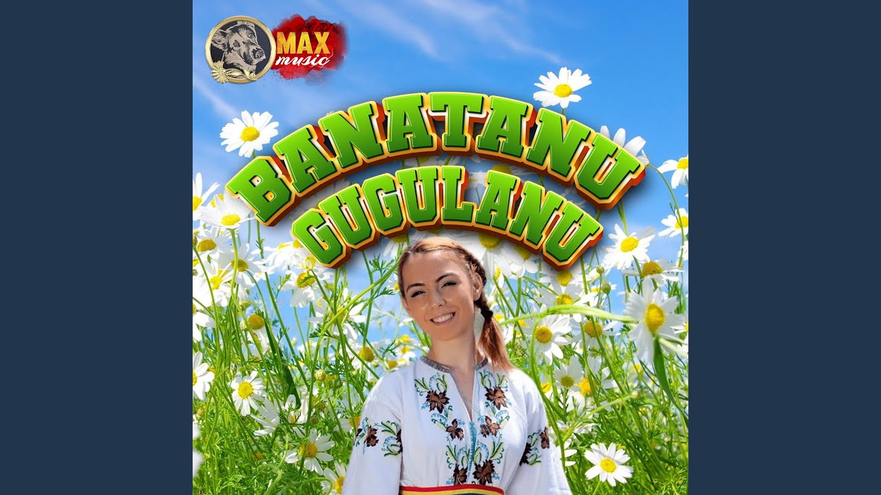 NUNTA MARE SARBE CA LA NUNTA