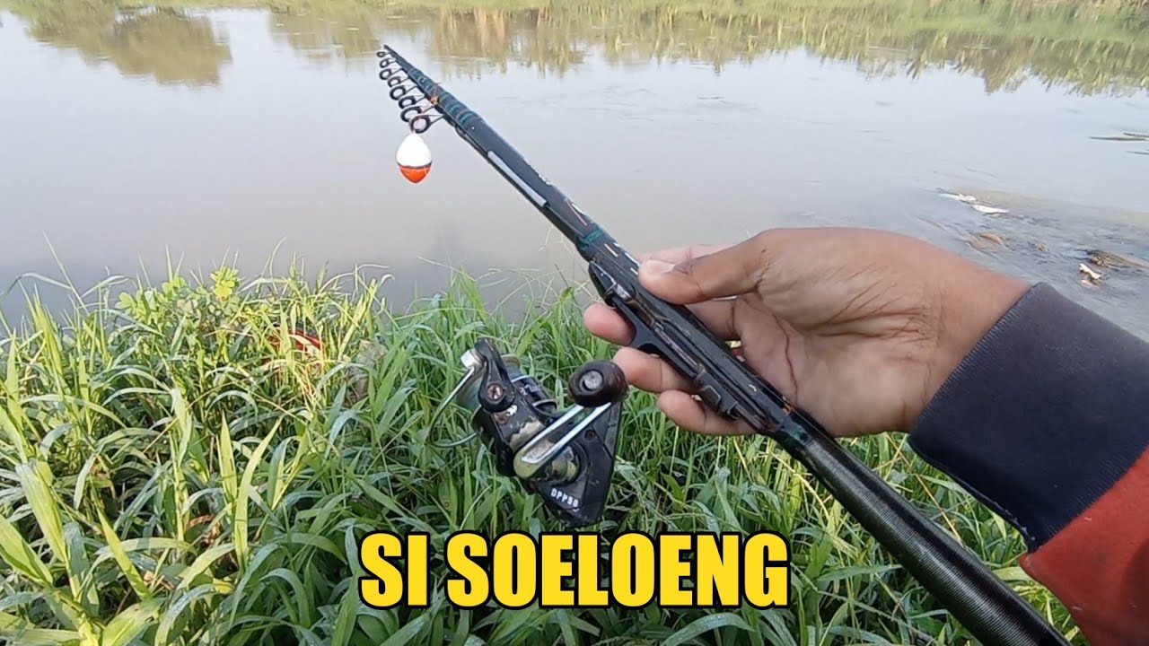 MANCING TAWES SIRIP MERAH DENGAN TEGEK KOLONG KESAYANGAN ‼️PART 1‼️