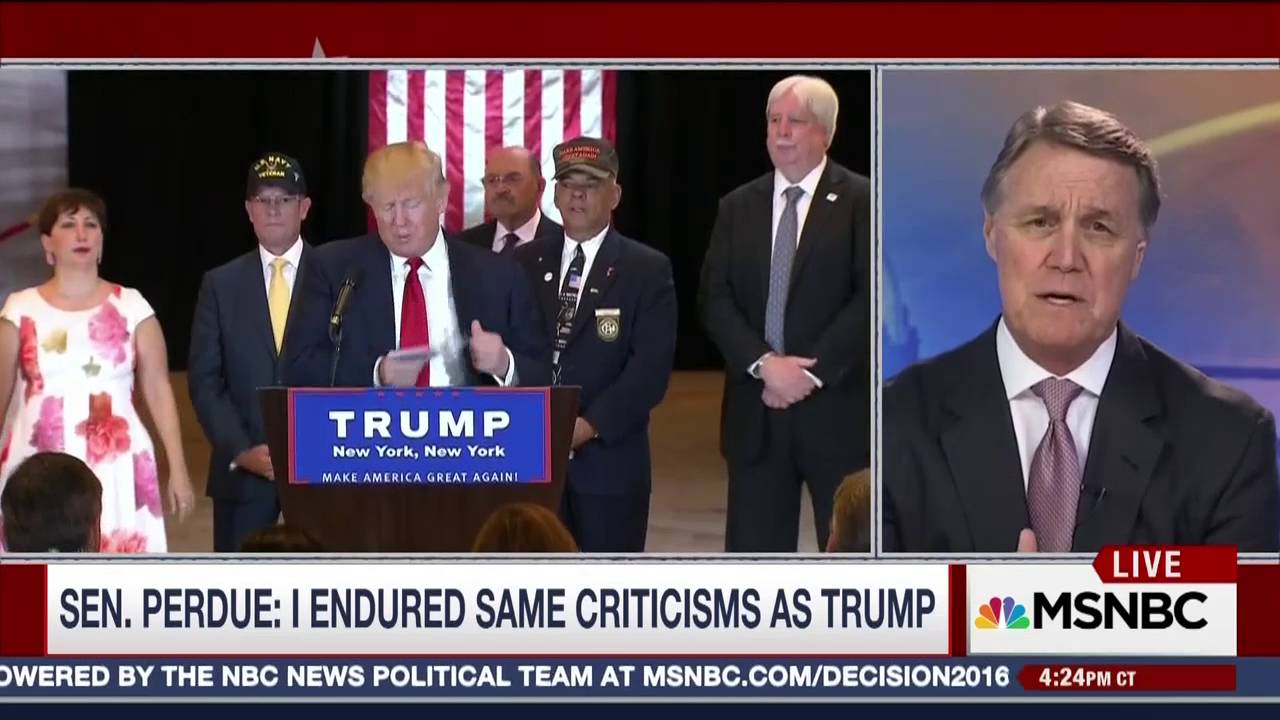 David Perdue on Meet The Press Daily