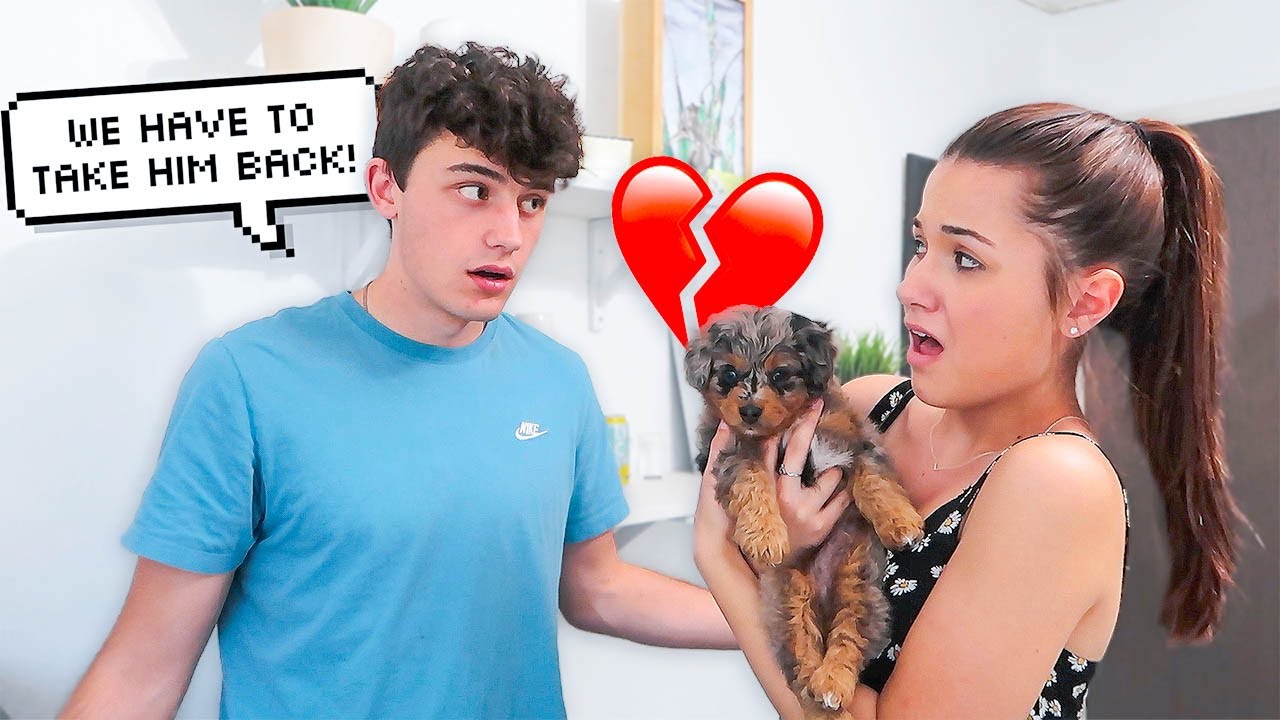 Telling Her We Can't Keep The Puppy.. *PRANK*