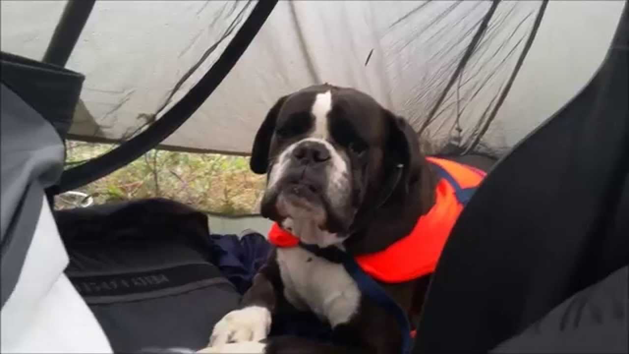 canoe, duomid overnighter part 5 of 5, music; Jason Shaw