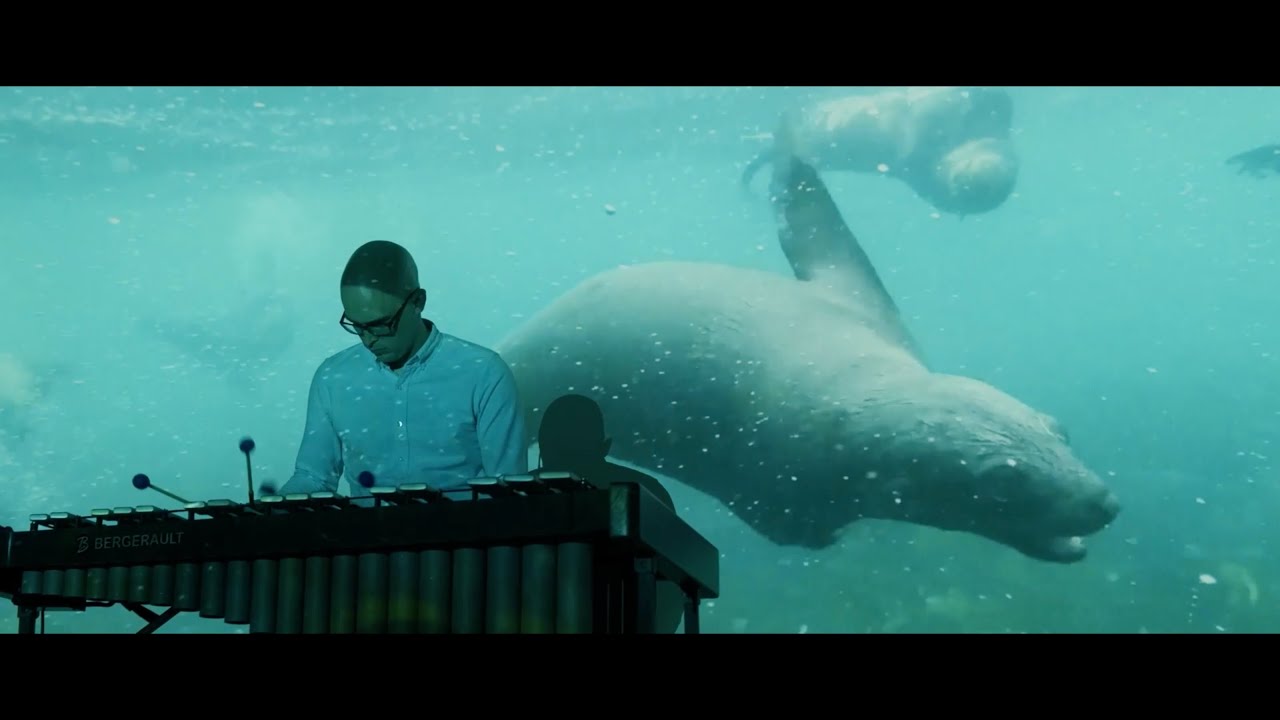Aquatic - Russell Wharton (official video)