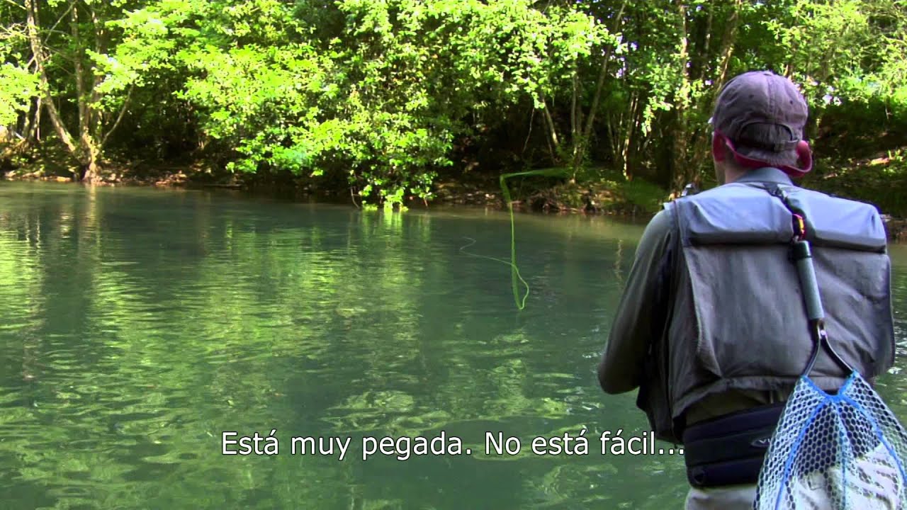 Pirineo Navarro pesca trucha