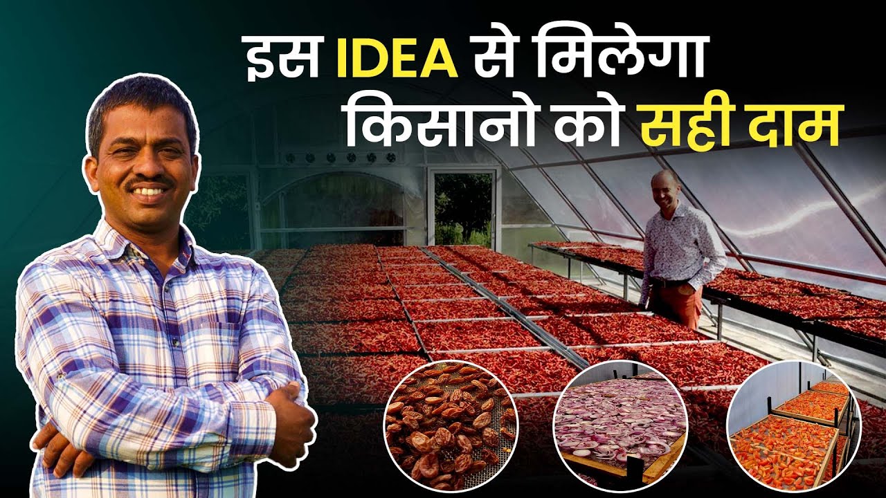 Solar Dryer से मिलेगा उपज का सही दाम  | Vegetable Dehydration Business | Solar Dryer Business