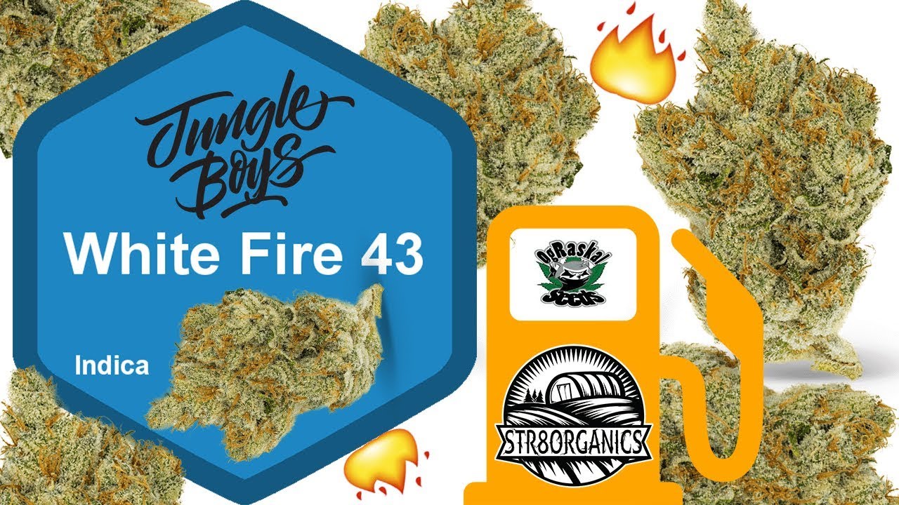 WIFI 43 STRAIN REVIEW