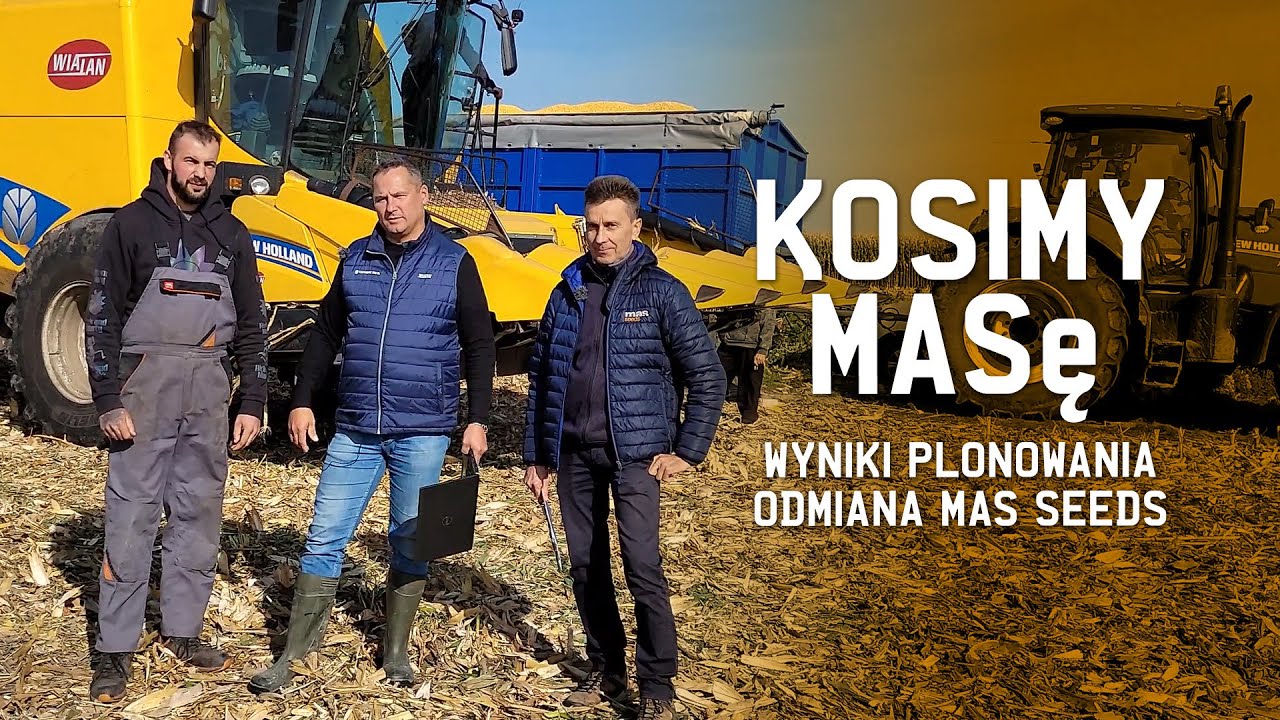 Idziemy na MASę. Kosimy poletka doświadczalne Mas Seeds.