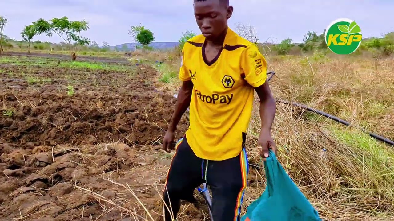 HAYA NDIO MAENEO YENYE VYANZO VYA MAJI KISARAWE, UWEKEZAJI WA KILIMO NI UHAKIKA.