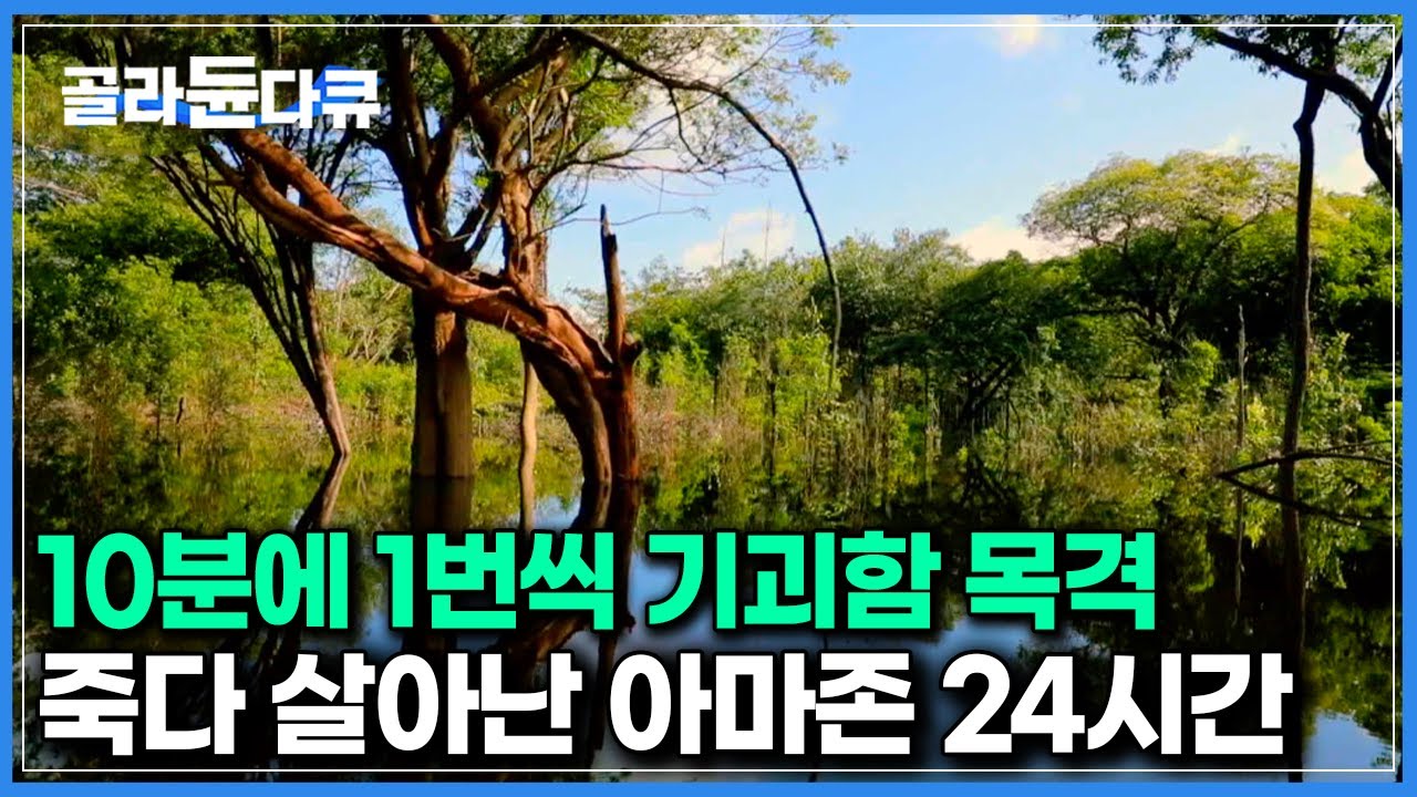 아직까지 완전히 풀리지 않은 미지의 땅 &lsquo;지구의 허파 아마존&rsquo;에서 하루동안 생긴일｜세계테마기행｜#골라듄다큐