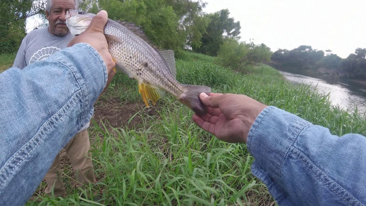 Salida por la tarde al R&iacute;o la Antigua a la altura de Cardel con una buena captura!