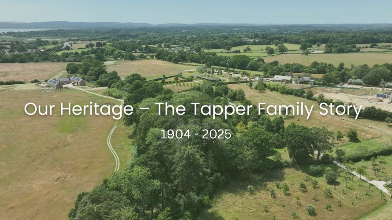 The History of Harbour View: A Century of Care & Family Legacy in Dorset