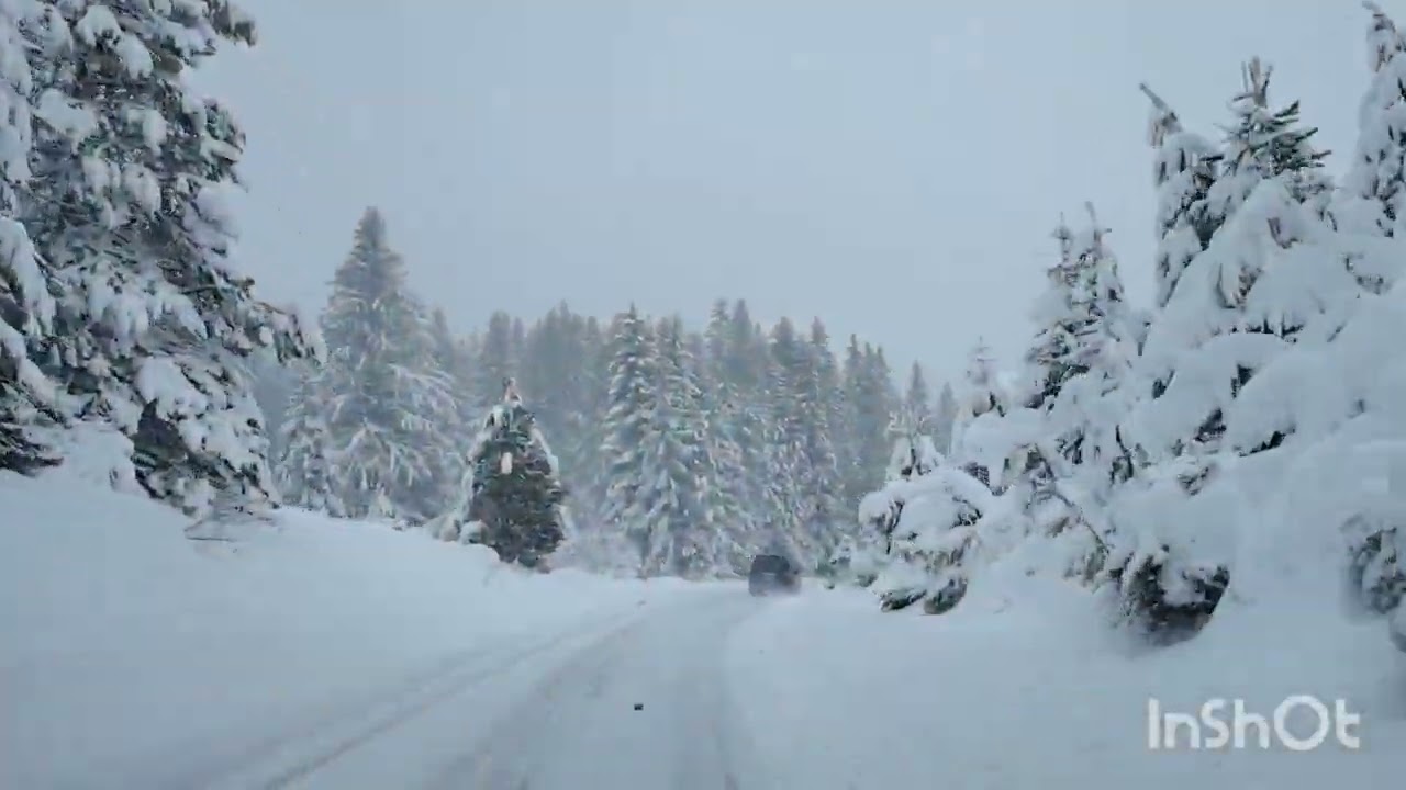 Montenegro winter Live 17.2.2026.#live #mountain #durmitor #snow 