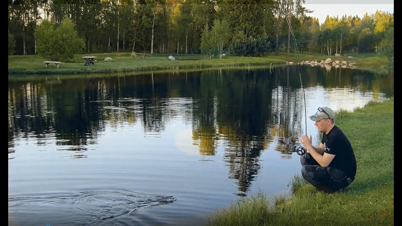 Mitt Sunnedamm.