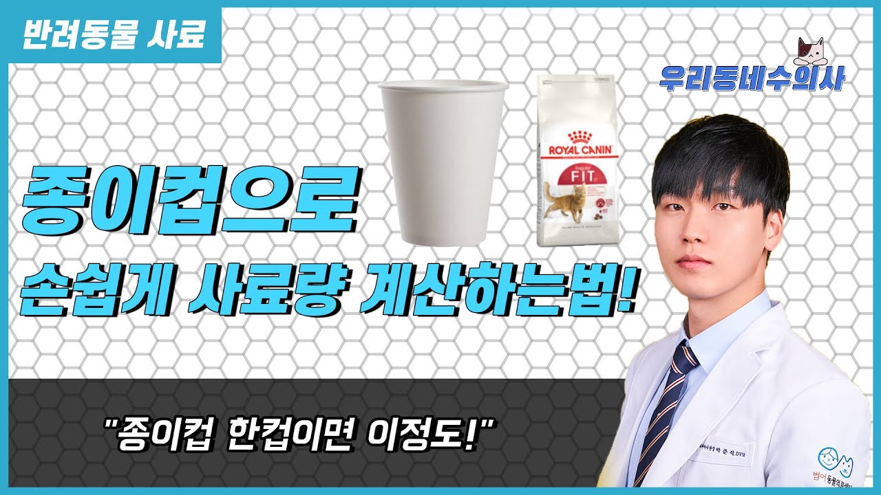 수의사가 알려주는 종이컵으로 손쉽게 사료량 계산하는법 [우리동네수의사]