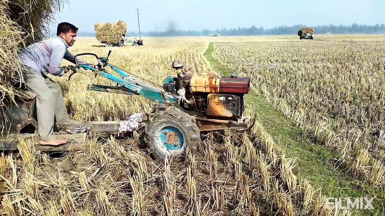 Rice transport delivery by power tiller video work of || Bangladesh &radic;|paddywhack| farmer agriculture