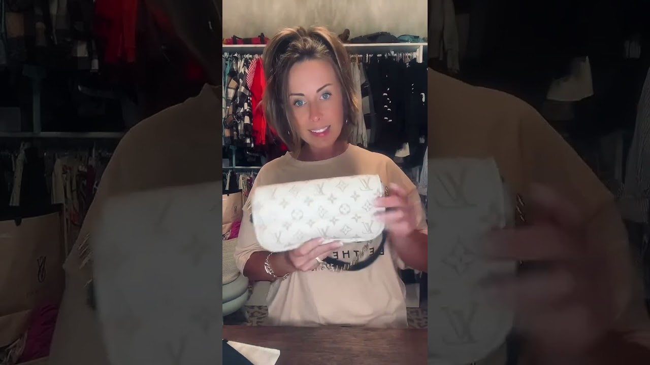 What fits inside the Louis Vuitton Ivy Bag