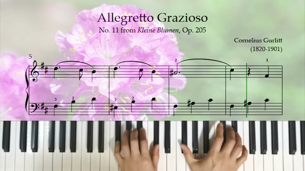 Grade 3 Piano: Allegretto Grazioso (Sea Pink), No. 11 from Kleine Blumen, Op. 205 by Gurlitt #piano