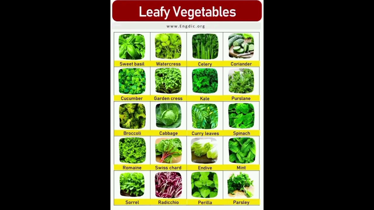 Leafy vegetables vocabulary #vegetables #leafyvegitables #leafygreens #leafy  #vocabulary