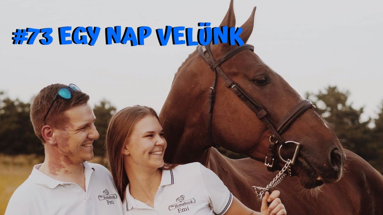 Egy nap VELÜNK