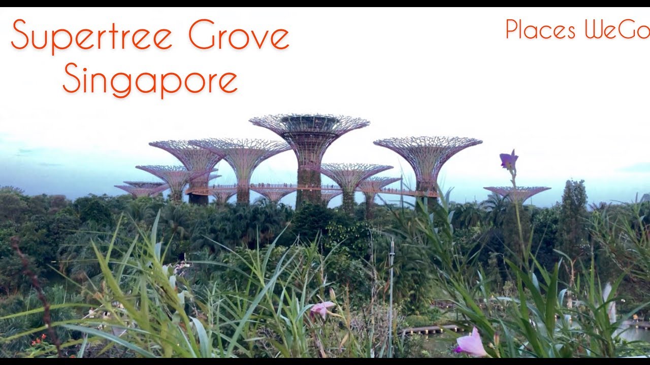 The Supertree Grove at Gardens by the Bay - Singapore
