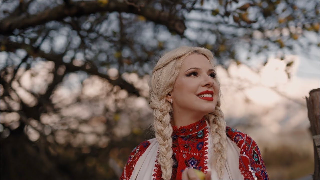 Sandra N - Floare de cires | Official Video